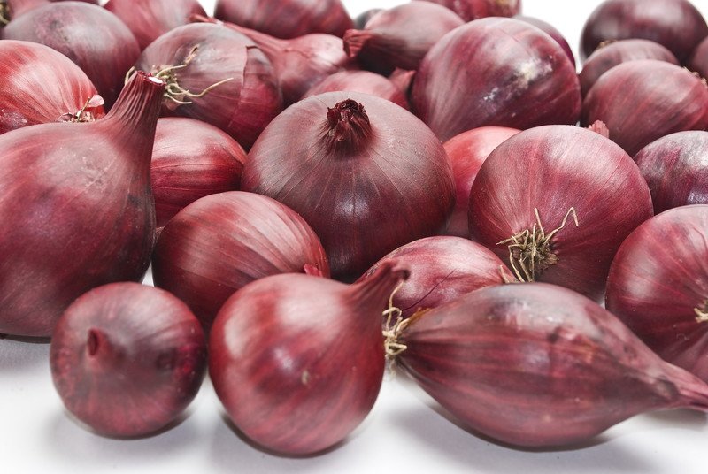 This photo shows several uncut red onions on a white background.