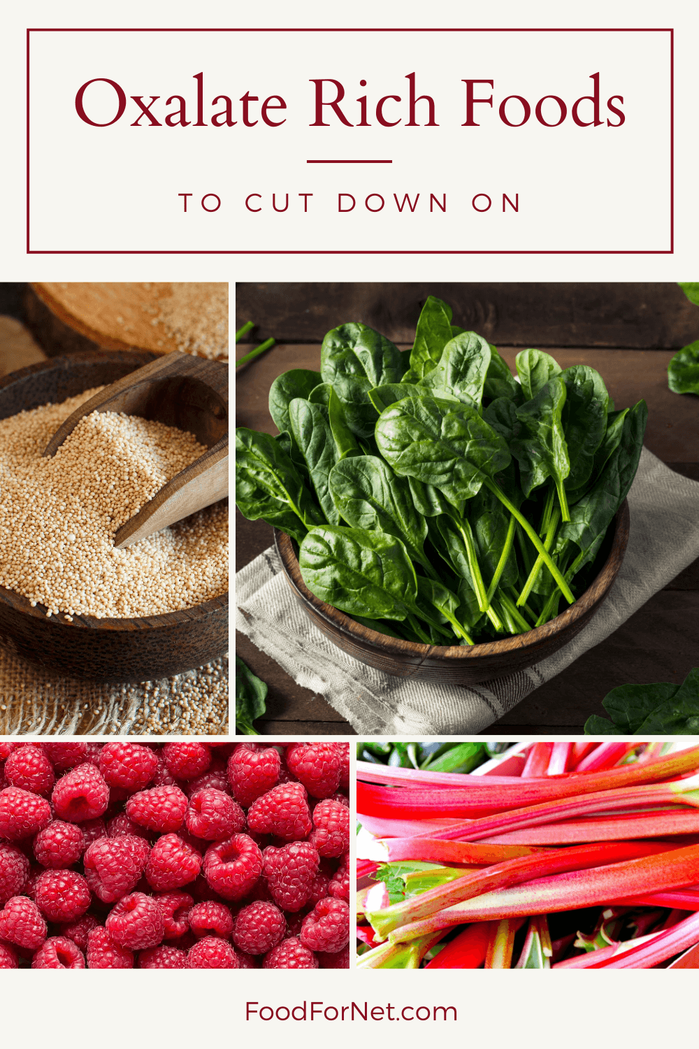 Four types of oxalate rich foods in a grid, including a pseudograin, spinach, raspberries, and rhubarb