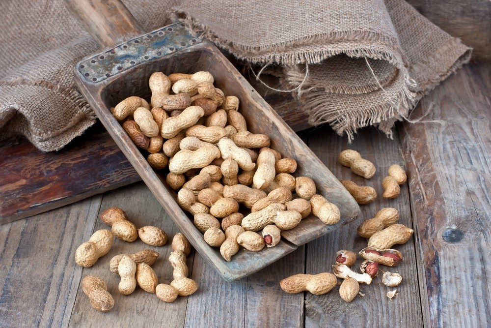 Are Peanuts Good For You? Food For Net
