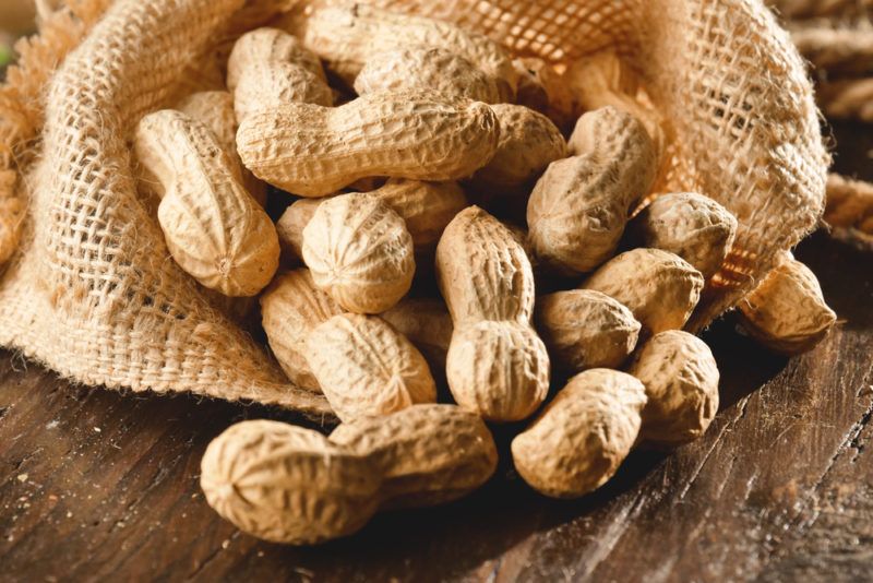 A burlap sack of peanuts in their shells, with some spilling out onto the table