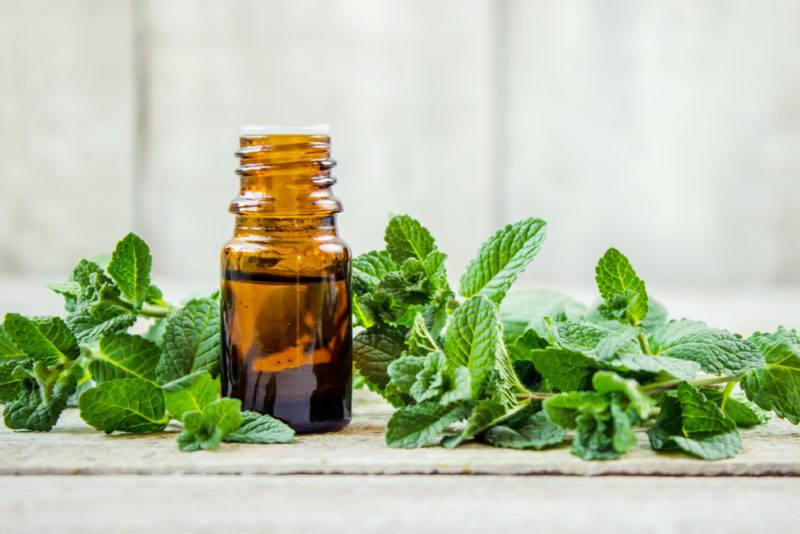 A small bottle of peppermint essence near some mint leaves