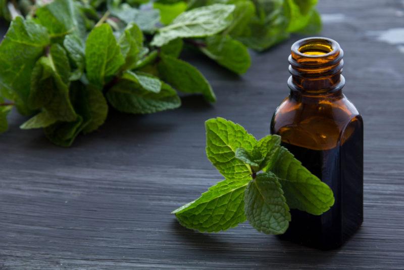 A bottle of peppermint oil next to peppermint leaves