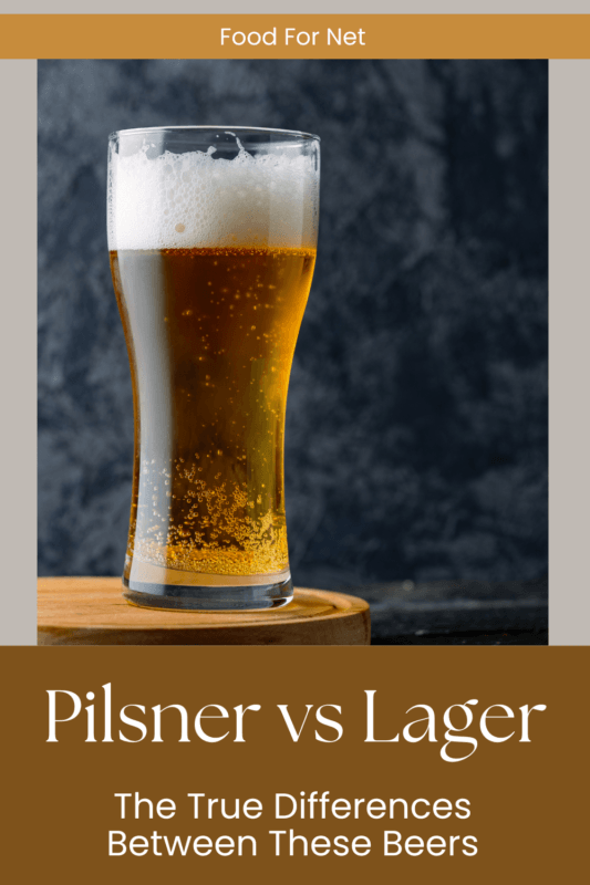 Pilsner Vs Lager Which One Is Right For You? Food For Net