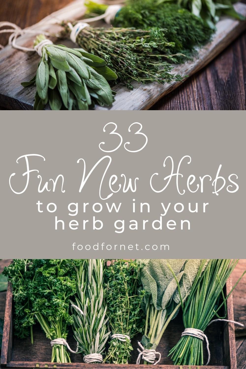 Bundles of herbs to represent herbs you can plant in your herb garden.