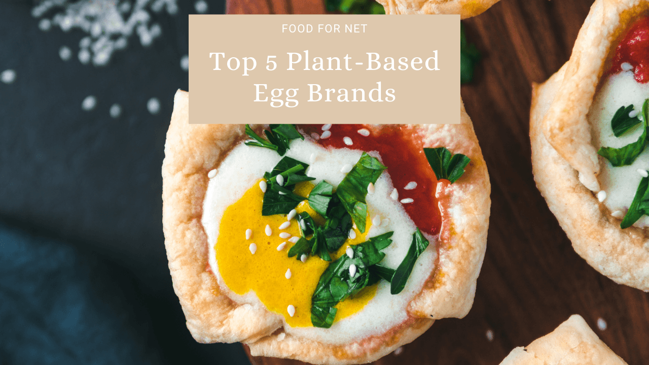 5 Best PlantBased Egg Brands Food For Net