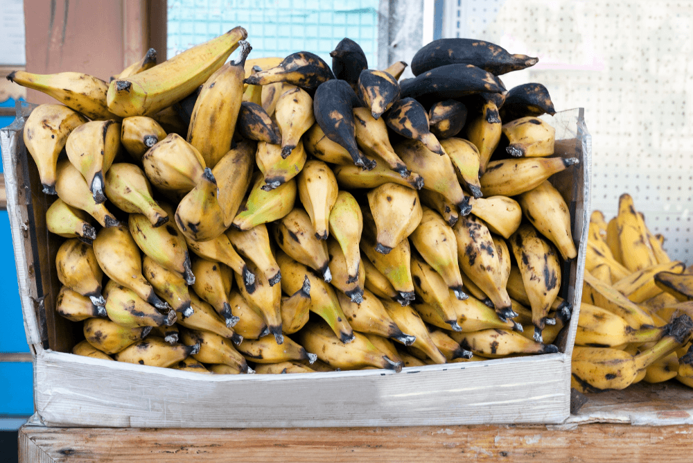 Can You Eat Raw Plantains? Food For Net
