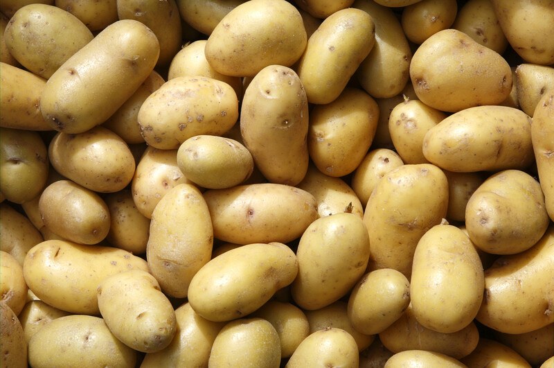 This photo shows an overhead view of several whole russet potatoes.