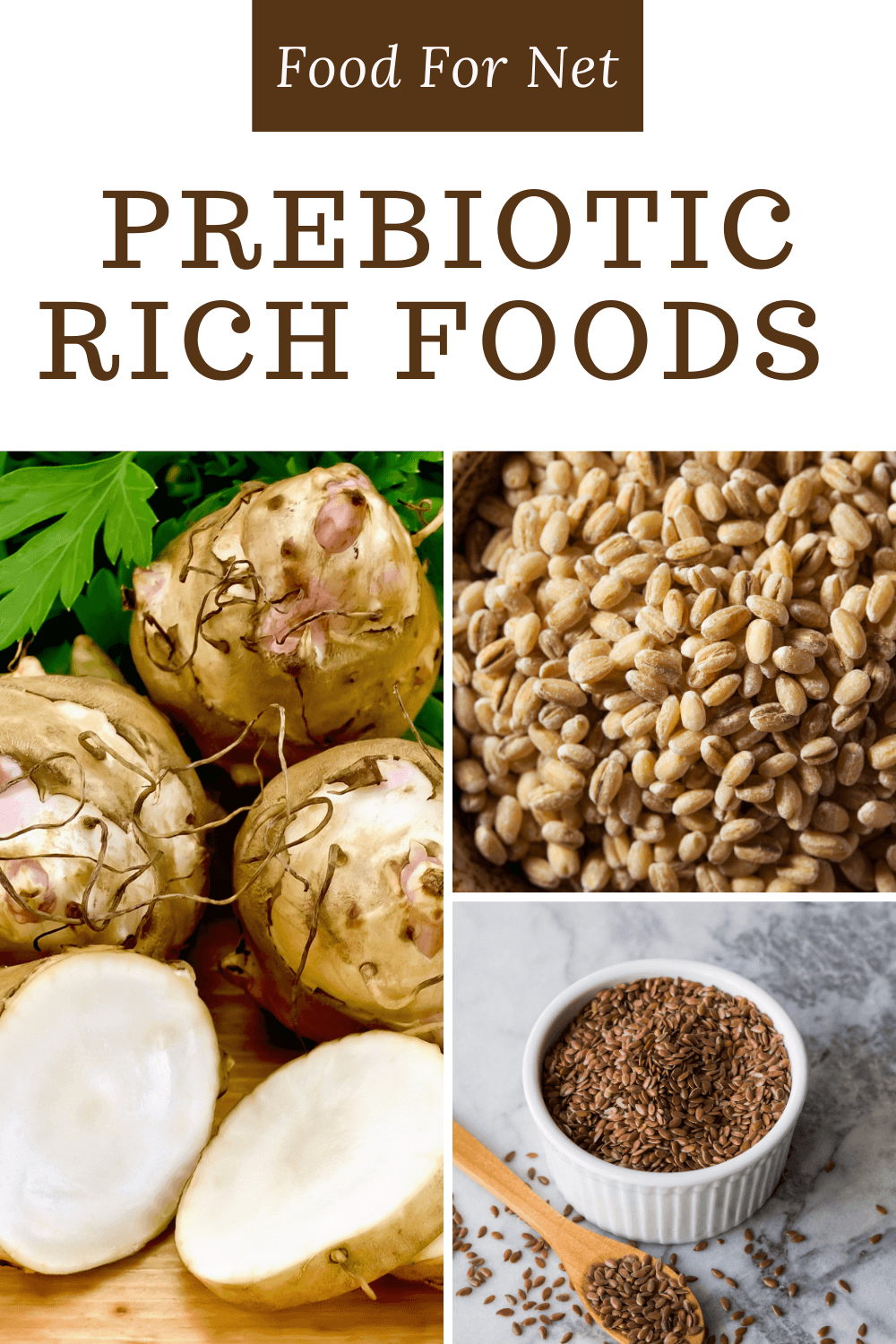 22 Prebiotic Rich Foods To Complement Your Probiotics | Food For Net