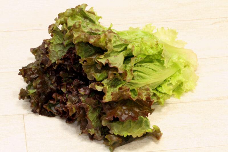 Prizehead lettuce on a cream-colored wooden surface