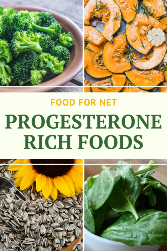 Foods To Increase Your Progesterone Levels Food For Net