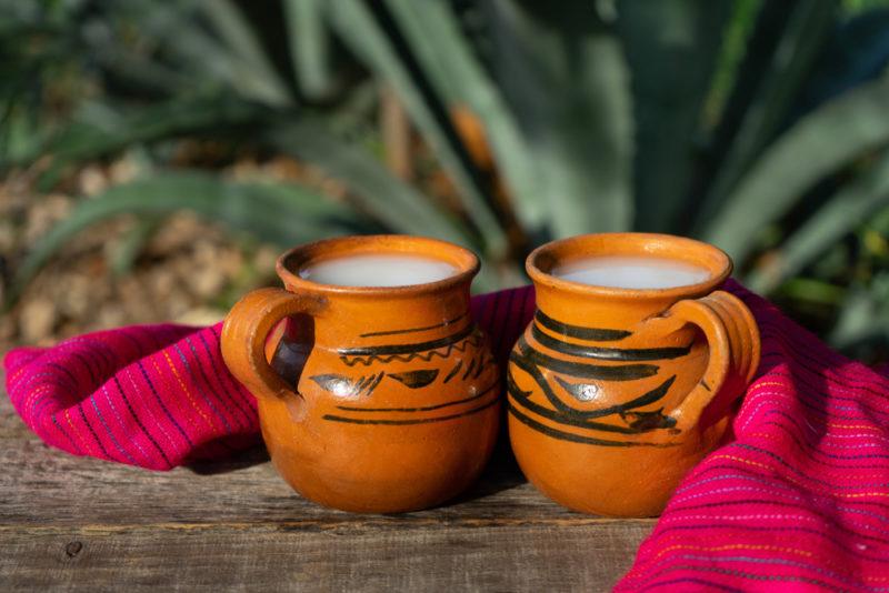 Two orange pottery mugs containing pulque