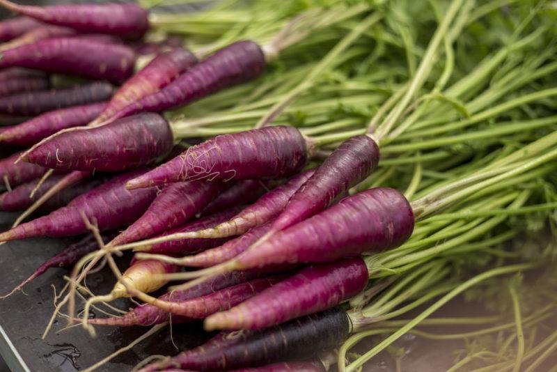 Purple carrots on a table