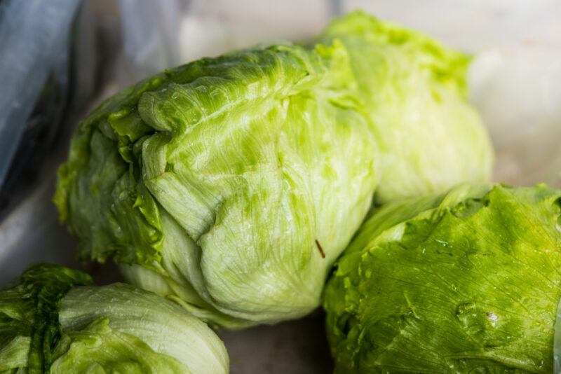 a closeup image of heads of Raider lettuces on a wooden surface