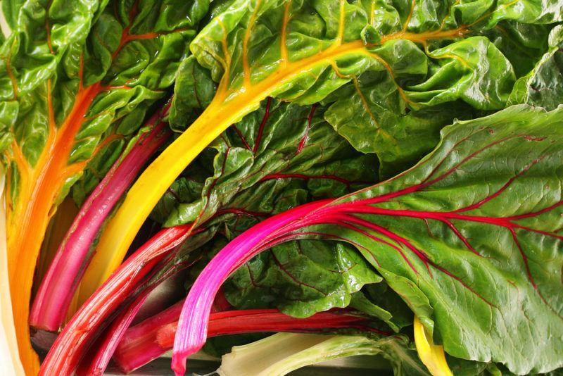 A collection of Swiss chard with rainbow stems