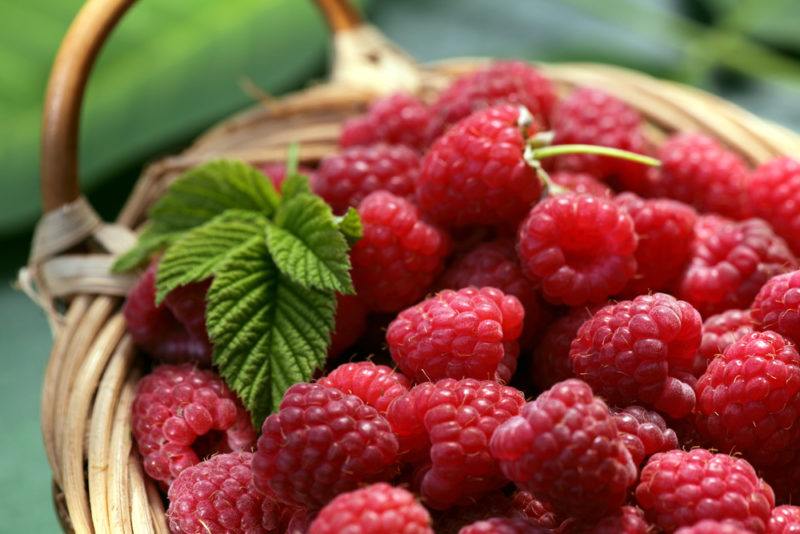 A basket containing raspberries