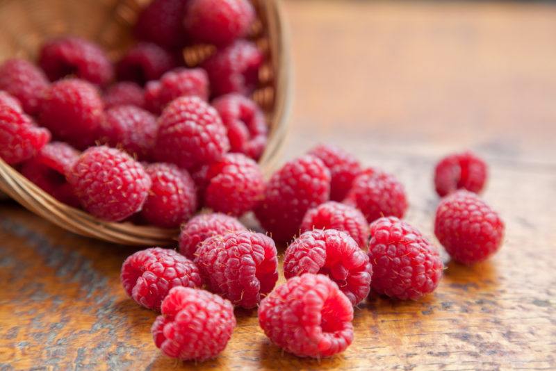 Raspberries being poured out of a basket