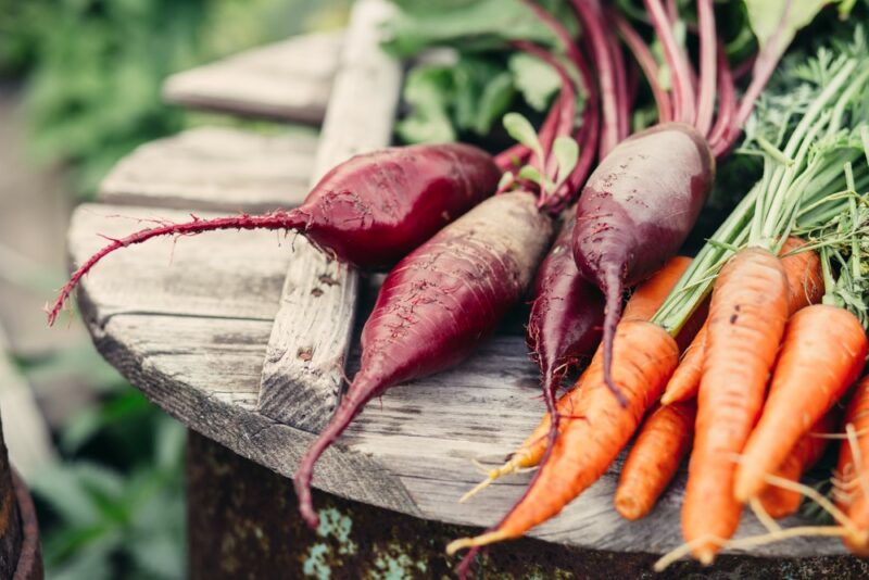 A wooden table or barrel outside with some red carrots and some orange ones