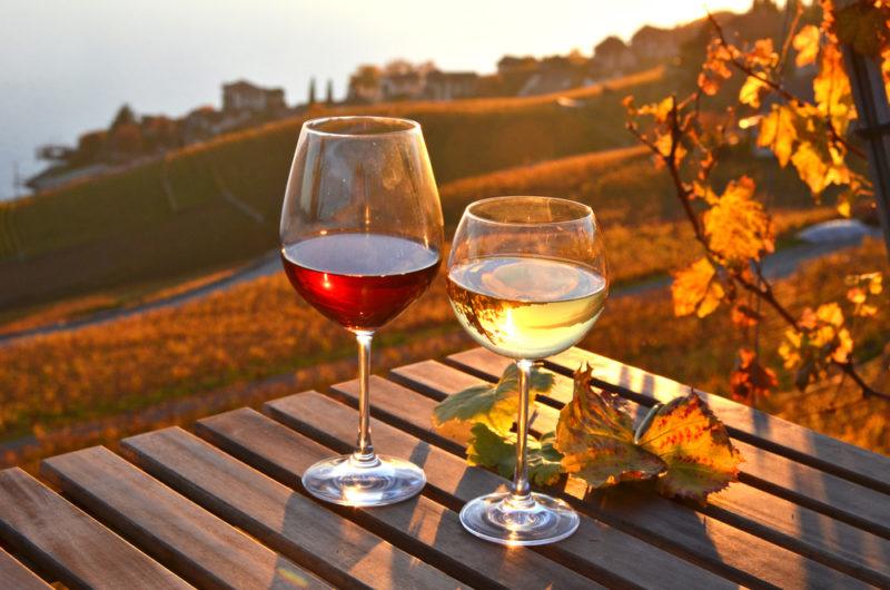 A glass of red wine and a glass of white wine in a vineyard