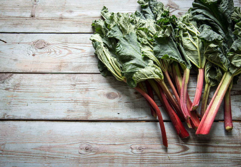 Fresh rhubarb stalks on the right hand side of a wooden deck or table