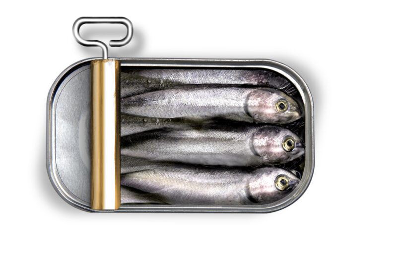 Can,Of,Sardines | Food For Net This photo shows an overhead view of an open tin of sardines against a white background.