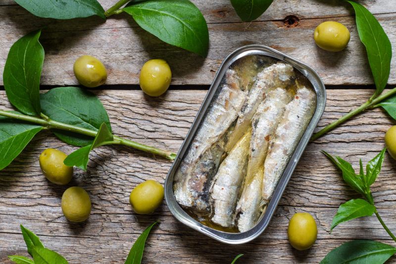 Sardines canned in olive oil, with olive leaves, branches, and olives scattered around