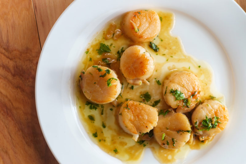 A white plate with scallops in a wine and garlic sauce