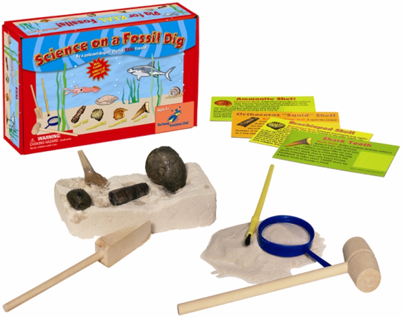 Photo shows Science on a Fossil Dig Box, 4 informational cards, tools and rock and sand.