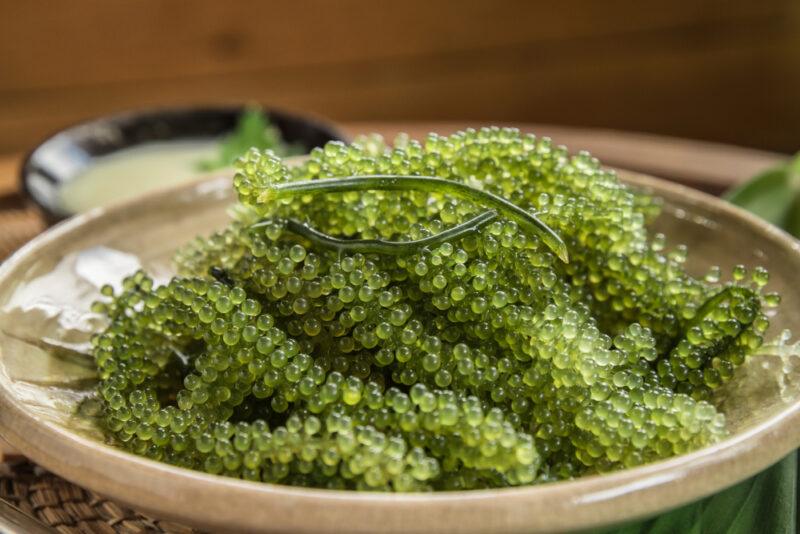 a closeup image of a brown ceramic dish with fresh seagrapes or green caviar