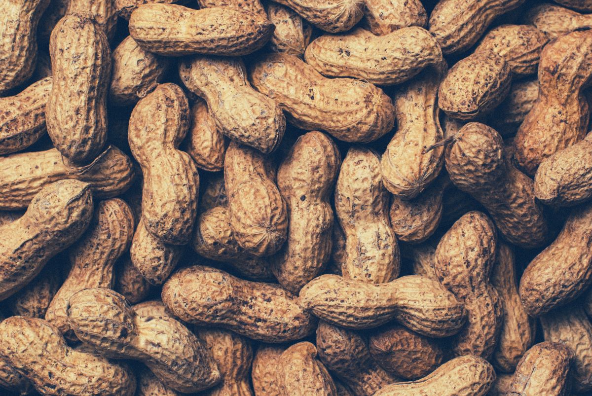 Peanut of the month club - Pile of Shelled Peanuts 