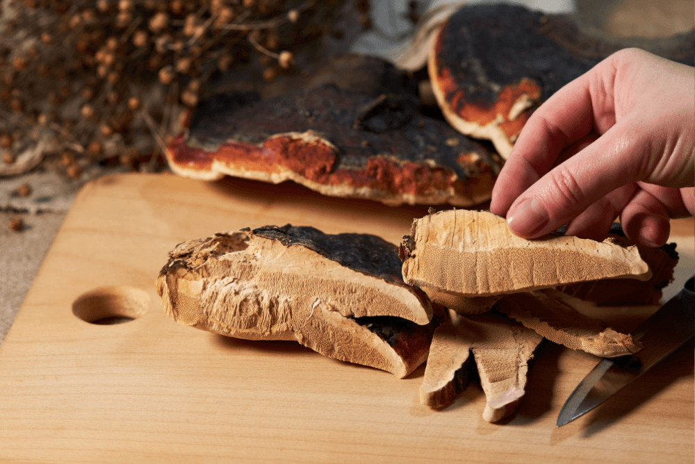 Can You Eat Raw Mushrooms? | Food For Net