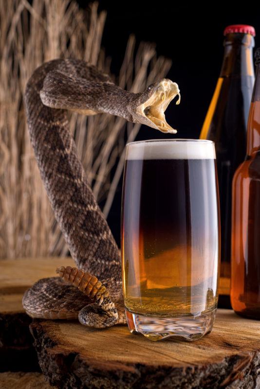 A rising snake in front of a Snakebite cocktail