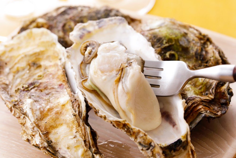 Are Oysters Good For You? Food For Net