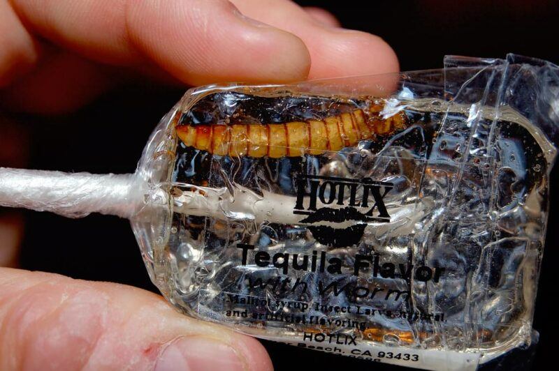 Someone holding a tequila lollipop with the worm inside it