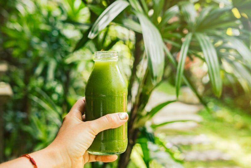 Someone standing outside holding a bottle of celery juice up in front of plants