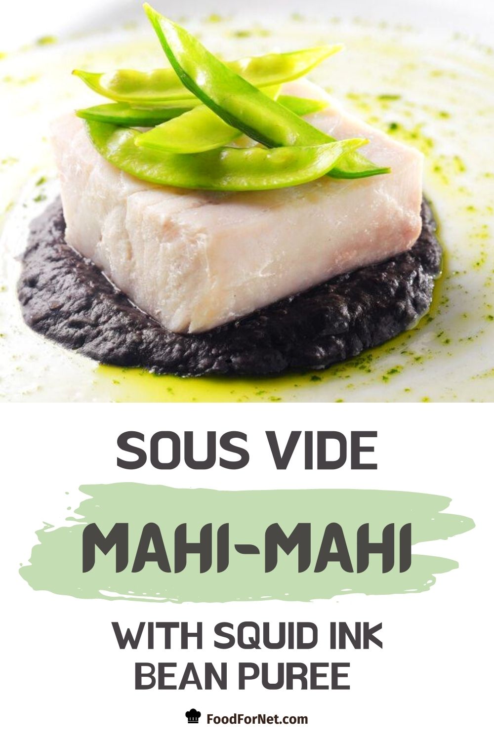Sous Vide MahiMahi with Squid Ink Bean Puree Food For Net