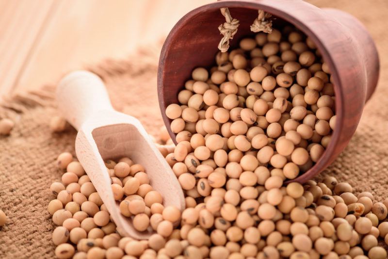 Soybeans being poured out of a pot, with a wooden ladel