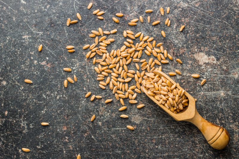 A wooden spoon containing spelt on a table