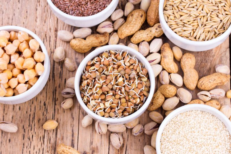 White bowls containing different sprouted grains