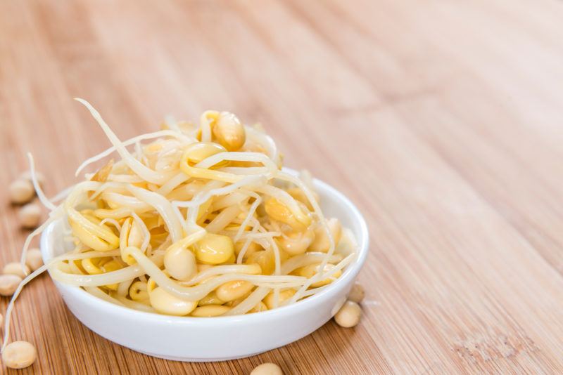 A small white bowl of sprouted soybeans