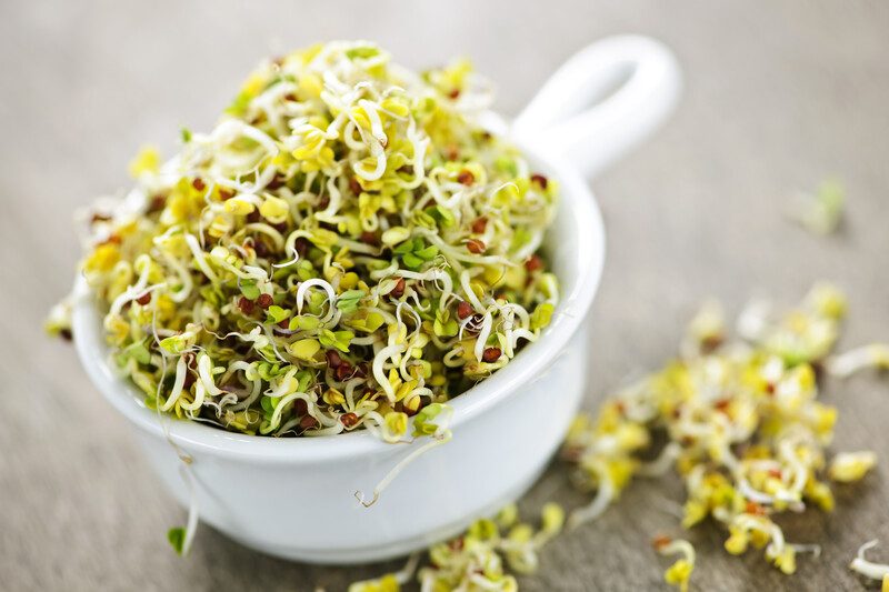 A white cup, filled with sprouts, rests on a wooden table next to a few loose sprouts.