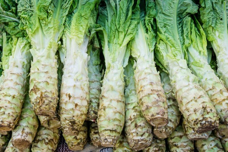 Many large stems of a Chinese vegetable called Celtuce