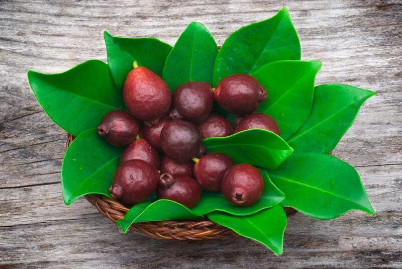 A bowl with plenty of leaves and a collection of strawberry guavas on a wooden table