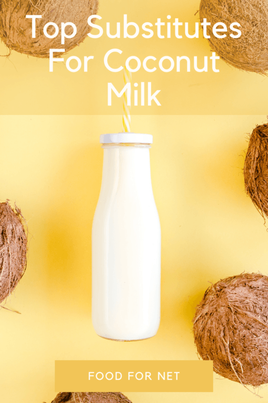 The Best Substitutes For Coconut Milk Food For Net