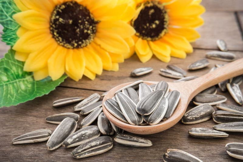 A spoonful of sunflower seeds with sunflowers on a table