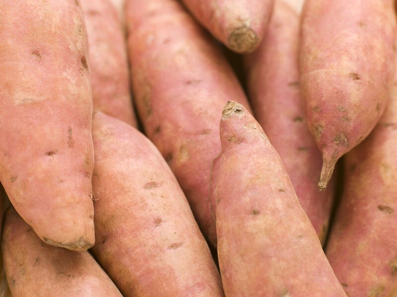 This photo shows a closeup of several raw, unpeeled sweet potatoes.