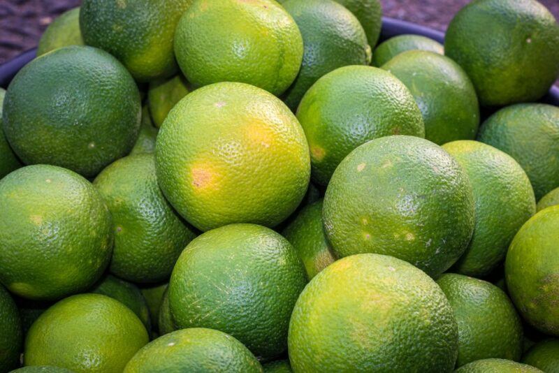 A large number of sweet limes in various shades of green