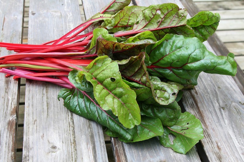 This photo shows a pile of Swiss Chard with red stems and green leaves on a wooden table.