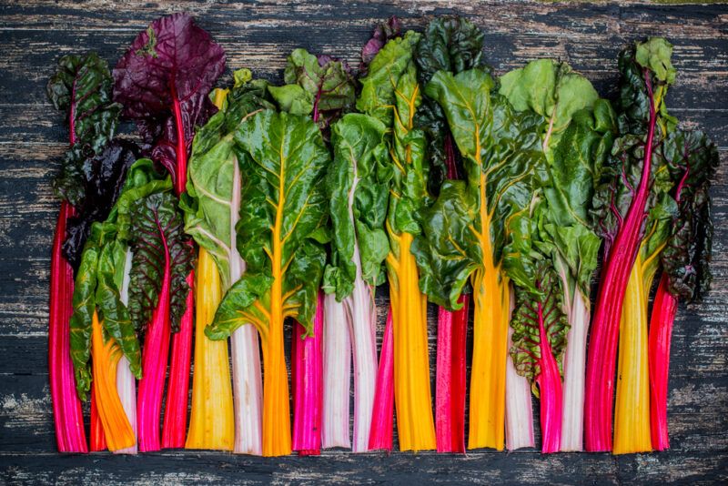 A row of rainbow-stemmed Swiss chard with dark green and purple leaves rests on a wooden surface.