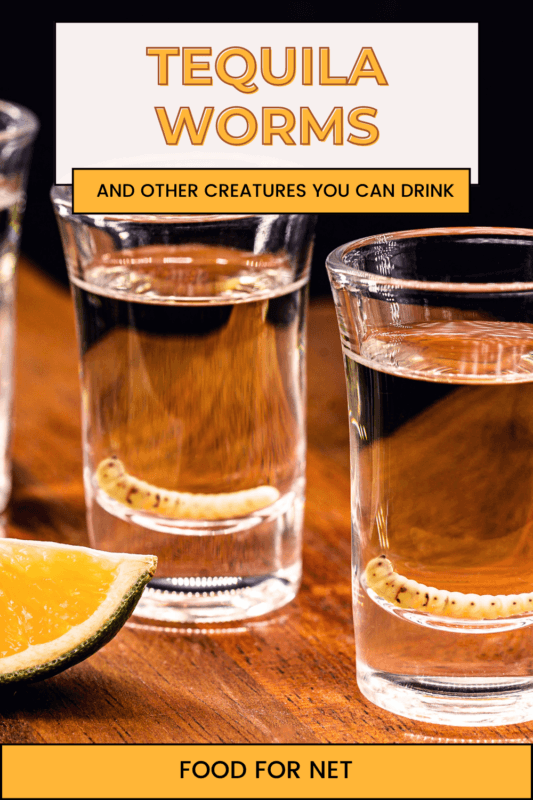 Tequila Worms And Other Creatures You Can Drink Food For Net