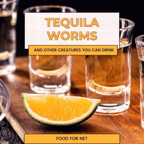 The Best Tequila for Shots And Best Tequila Chasers Food For Net